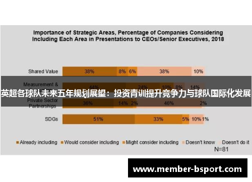 英超各球队未来五年规划展望：投资青训提升竞争力与球队国际化发展