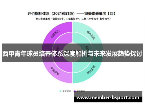 西甲青年球员培养体系深度解析与未来发展趋势探讨