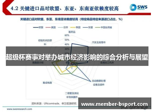 超级杯赛事对举办城市经济影响的综合分析与展望