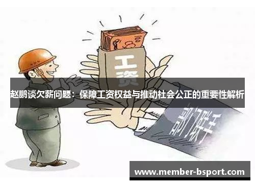 赵鹏谈欠薪问题：保障工资权益与推动社会公正的重要性解析