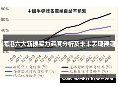 海港六大新援实力深度分析及未来表现预测