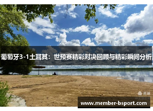 葡萄牙3-1土耳其：世预赛精彩对决回顾与精彩瞬间分析