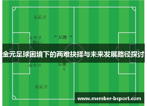 金元足球困境下的两难抉择与未来发展路径探讨