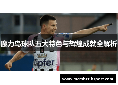 魔力鸟球队五大特色与辉煌成就全解析